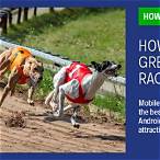 bet on dog racing online